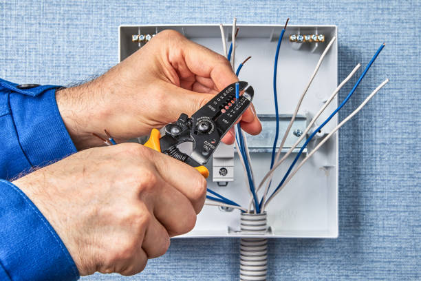 Best Industrial Electrical Services  in Lakeland Village, CA